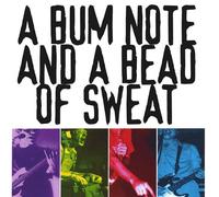 Baboon - Bum Note & a Bead of Sweat