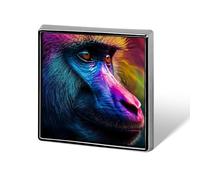 Baboon Colorful Monkey Unisex Novelty Brooches & Pins Square Metal Lapel Badge for Clothing Shawl Hat