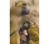 Baboon Family Journal: A Notebook With A Lovely Baboon Troop To Comfort You