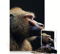 Baboon for Adults 1000 Piece Jigsaw Puzzle Thought Training Mind Calming Fun Uniform Cut Xmas Gift (38x52cm)
