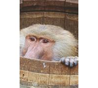 Baboon In A Barrel Journal: This Is A Shy Little Monkey, But It'll Keep You Good Notebooking Company