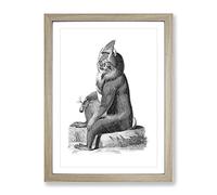 Baboon In Black & White By George Shaw Vintage Framed Wall Art Print, Ready to Hang Picture for Living Room Bedroom Home Office Décor, Oak A2 (64 x 46 cm)