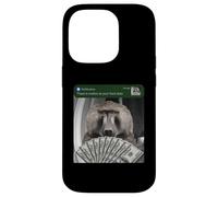 Baboon There Is Motion At Your Front Door Monkey Silly Case for iPhone 14 Pro
