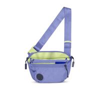 Baboon to the Moon Fanny Pack - Trendy, Compact, Water-Repellent Waist Bag in Multiple Colors and Sizes for Men and Women, Mystic Violet, Full Size (3L), Fannypack