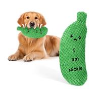 BABORUI Pickle Squeaky Dog Toy for Aggressive Chewers, Funny Plush Toy for Small/Medium/Large Dogs, Exercise and Accompany, GREEN