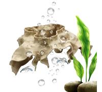 Babuniuse Aquarium Breeding Cave,Stable Hiding Hole Tunnel Shelter - Aquarium Underground Cave - for Feeding Hiding Resting Rest Home Betta Freshwater Aquatic Underwater Fishing