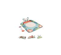 Fisher-Price Planet Friends Roly-Poly Panda Baby Activity Play Mat with 2 Toys