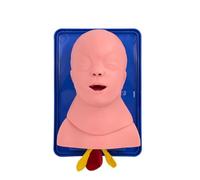 Baby Airway Insertion Training Model Baby Airway Insertion Simulator Tracheal Intubation Training Model for Clinical Intubation Simulator