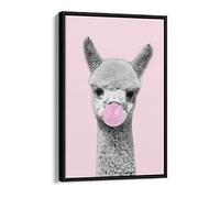 Baby Alpaca Black And White Pink Bubble Gum Canvas Floater Frame Print Picture Art - Black Frame 16 inch wide x 24 inch high