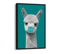 Baby Alpaca Black And White Teal Bubble Gum Canvas Floater Frame Print Picture Art - Black Frame 24 inch wide x 36 inch high
