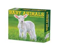 Baby Animals 2026 Box Calendar