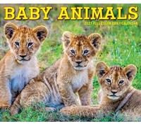 Willow Creek Press, Baby Animals 2027 5.4" x 6.2" Box Calendar