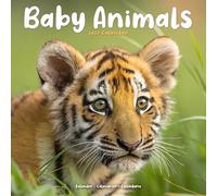 Baby Animals 2027 Calendar | Square Wall Calendar | Animal Gift | Plastic Free Packaging | by Avonside Publishing