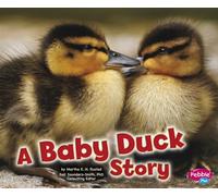 Baby Animals Baby Duck Story