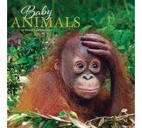 Baby Animals Calendar 2026