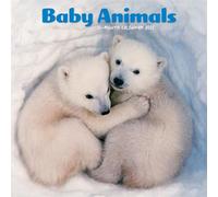 Baby Animals Mini Calendar 2027, Wall Calendars, Month To View, Gift