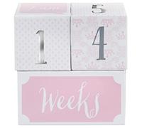 Baby Aspen My First Milestone Princess Age Blocks | Baby Picture Props for Photo Sharing The First Year