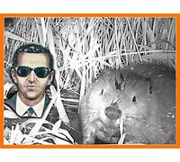 Baby Beaver Caught on Camera at DB Cooper Beaver Pond