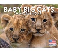 Baby Big Cat Calendar 2026 Wall