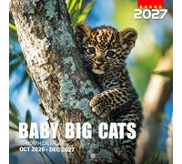 Baby Big Cats Calendar 2027: A year of young wild predators