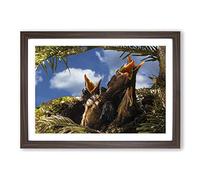 Baby Birds in The Nest (1) Framed Print | A2 Walnut Framed Wall Art | Ready to Hang | Modern Nature Picture | Living Room Bedroom Lounge Office