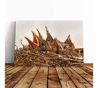 Baby Birds in The Nest (2) Canvas Print | Gallery Wrapped 30mm Frame Wall Art | 30x20 inches | Ready to Hang | Modern Bird Picture | Living Room Bedroom Lounge Office