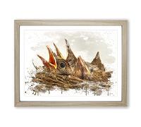 Baby Birds in the Nest No.2 V3 Modern Framed Print | A3 Oak Framed Wall Art | Ready to Hang | Modern Nature Picture | Living Room Bedroom Lounge Office