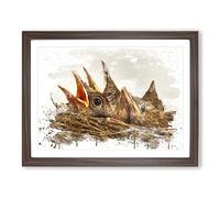 Baby Birds in the Nest No.2 V3 Modern Framed Print | A3 Walnut Framed Wall Art | Ready to Hang | Modern Nature Picture | Living Room Bedroom Lounge Office