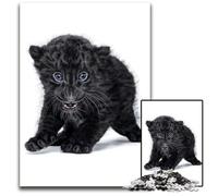 Baby Black Panther Poster Jigsaw Puzzles for Adults 1000 Piece Wooden Jigsaw Brain Challenge Game for Teenagers & Family Interaction 1000 PCS(75x50cm)