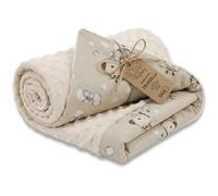 Baby blanket cuddle blanket All-season plush fabric 75x100 cm - children's blanket stroller blanket baby blankets stroller blanket and starter set for newborns and children Oeko-Tex