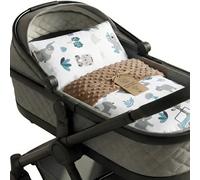 Baby blanket cuddle blanket Winter plush fabric 75x60 cm + pillow 35x30 cm - children's blanket stroller blanket baby blankets stroller blanket and starter set for newborns and children Oeko-Tex
