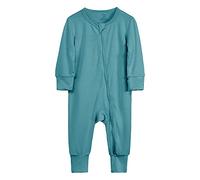 Baby Bodysuits Unisex Sleepsuits Boy Girl Clothes Pregnancy Reveal Gift Newborn to 24 Months Crew Outfit Idea for Dad or Grandparents Sky Blue