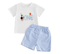 Baby Boy 1st Birthday Outfit Short Sleeve Top and Shorts 1 Year Old Baby Birthday Clothes for Cake Smash (Gingham Mallard One Blue, 6-12 Months)