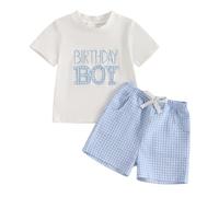 Baby Boy 1st Birthday Outfit Short Sleeve Top and Shorts 1 Year Old Baby Birthday Clothes for Cake Smash (Gingham Birthday Boy Light Blue, 12-18 Months)