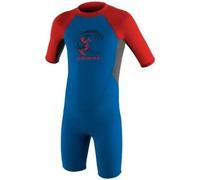 O'Neill Toddler Reactor 2 2mm Back Zip Short Sleeve Wetsuit Blue Red Grey Kids - 1