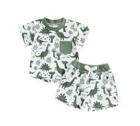 Baby Boy Dinosaur Clothes Cartoon Dino T Shirt Elastic Waist Jogger Shorts 2Pcs Toddler Casual Summer Outfit 3M-4Y (Green, 18-24 Months)