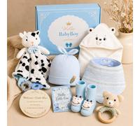 Baby Boy Gift Set, Newborn Baby Boy Essentials, Baby Shower Gift for Boys, New Baby Gift Box with Animal Lovey, Hat, Bib, Socks, Crochet Rattle and Hello World Sign
