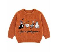 Baby Boy Halloween Knitted Jumper Goose Ghost Pumpkin Sweater Fall Outfits | Toddler Halloween Outfits Boys Embroidery Long Sleeve Crew Neck Knit Sweatshirt Pullover Knitwear Top