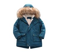 Baby Boy Heavy Winter Coat Lined Jacket Thick Winter Coat Hooded Winter Water-Proof Par-ka Outerwear Dinosaur (Blue, 5-6 Years)