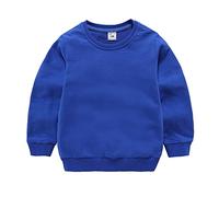 Baby Boys Plain Sweatshirts Crew Neck Long Sleeve Fall Pullover Sweatshirts Oversized Lightweight Warm Tops Kids School Collar Casual Sweater Clothes (Blue, 2-3 Years)