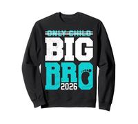 Baby Brother BIG BRO 2026 Only Child was yesterday Brothers Sweatshirt