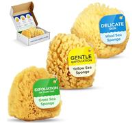 Baby Buddy Baby Bath 4in Assorted Sea Sponges, Absorbent Natural Sea Sponge, Soft on Tender Skin, Biodegradable, Hypoallergenic, Bath Accessories for Bathing, 3 Pack