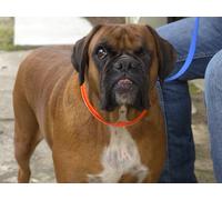 Baby Calves and One-Eyed Jacks