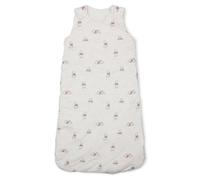 Baby Character Sleeping Bags Winter 2.5 Tog Cartoon 100% Cotton 0-24M Boys Girls (DS27 WTP Clouds - 6/12M)