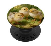 Baby Chicks On The Farm Fascinated By A Grasshopper PopSockets Adhesive PopGrip