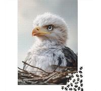 Baby Eagle Portrait 1000-Piece Puzzle for Adults, 70x50cm/1000pcs; for A Quiet Evening Project at Home; White Card Pieces for A Neat Table