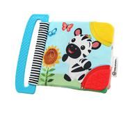 Baby Einstein Curious Explorers Teether Book Take-Along Toy, Ages Newborn +