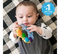 Baby Einstein Teetherpillar Rattle and Chill Teething Aid Toy Soothing
