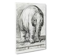 Baby Elephant by Jean Bernard Canvas Print | Gallery Wrapped 30mm Frame Wall Art | 30x20 inches | Ready to Hang | Modern Animals Picture | Living Room Bedroom Lounge Office