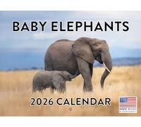 Baby Elephant Calendar 2026 Wall